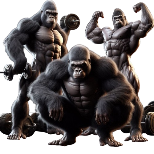 Entrenador personal de Gimnasio Enduitama guiando a un cliente en su rutina.